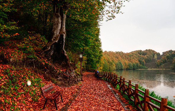 Ordu'dan muhteşem manzaralar...Cezbeden doğal güzellik - Resim: 2