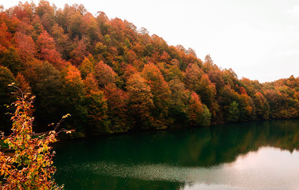 Ordu'dan muhteşem manzaralar...Cezbeden doğal güzellik - Resim: 3