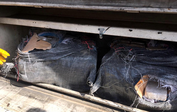 Ödüllü burun affetmiyor Değeri 8 milyon - Resim: 3