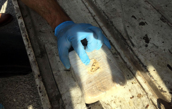 Ödüllü burun affetmiyor Değeri 8 milyon - Resim: 4