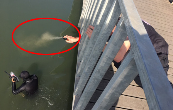  Denizdeki kaçak avcıya biber gazlı müdahale - Resim: 2