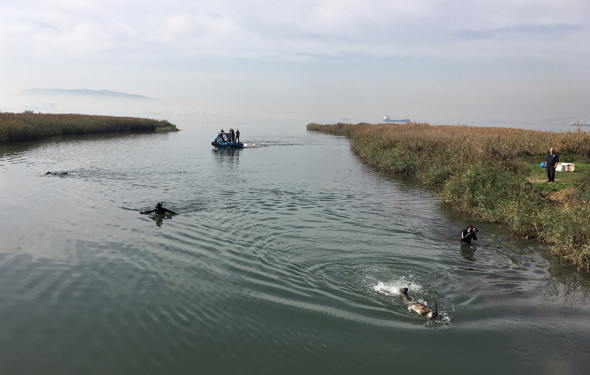  Denizdeki kaçak avcıya biber gazlı müdahale - Resim: 4