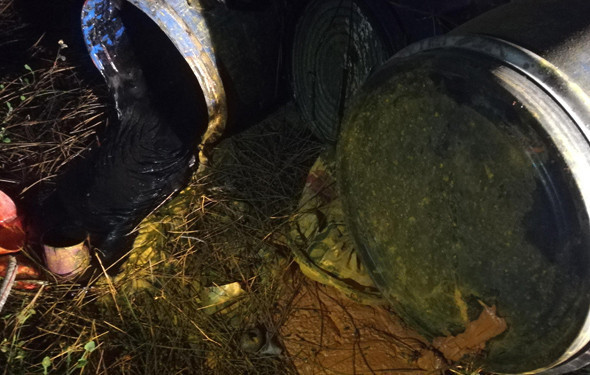 Ormanlık alanda şok görüntüler! Vatandaşın hayatını hiçe saydılar... - Resim: 2