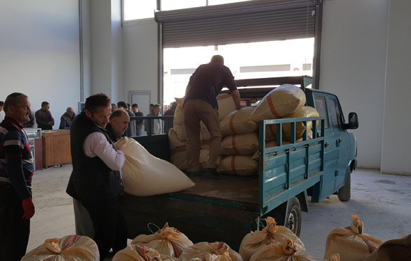 Fındıklar alınmaya başlandı ! 14 TL'den alınıyor - Resim: 4