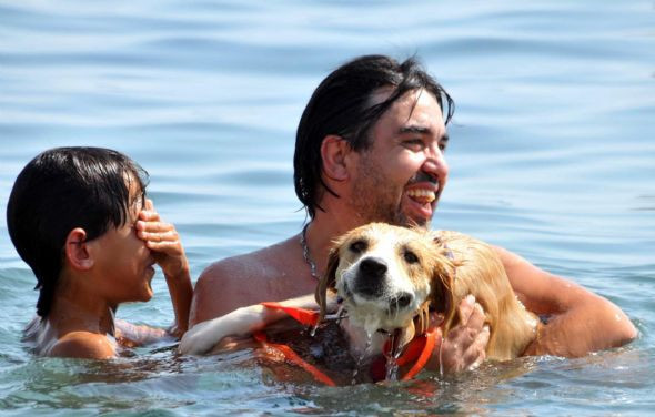 Türkiye'den yaz manzaraları - Resim: 4