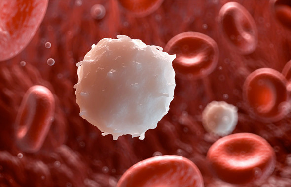 Lösemi nasıl anlaşılır profesör açıkladı kan kanserinin 10 önemli belirtisi  - Resim: 4