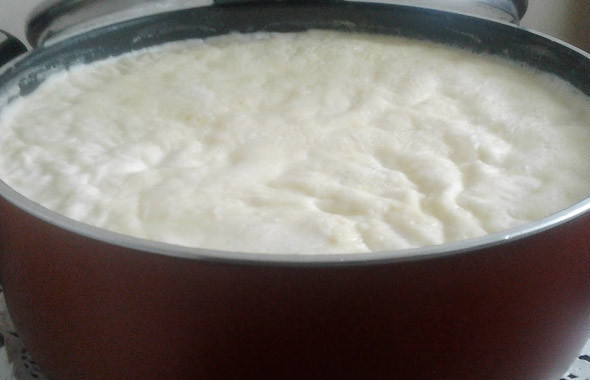 Evde yoğurt nasıl yapılır püf noktası! Mayasını böyle koyarsanız... - Resim: 4