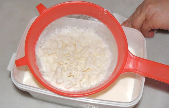 Evde kefir nasıl mayalanır? 4 kilo verdiren kefir diyeti - Resim: 2