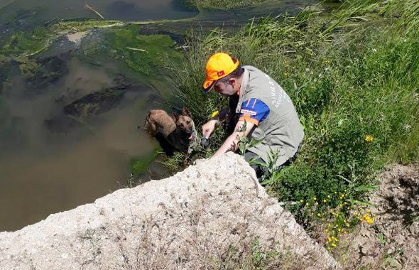 Leyla Aydemir öldürüldü mü? Ağrı'yı sarsan şok telefon - Resim: 3