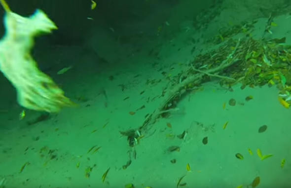 Şelalenin dibinden çıkan şeyler dalgıcı şoke etti - Resim: 1