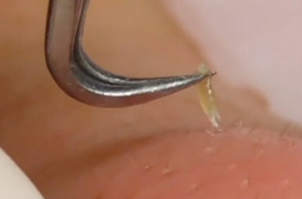 You Tube'da binlerce kez izlendi hiç böylesi yok! - Resim: 1