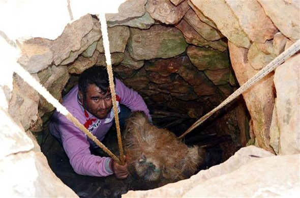 Bu peynir 2 ay bekletiyor 1 kilosu yok artık dedirtiyor! - Resim: 4