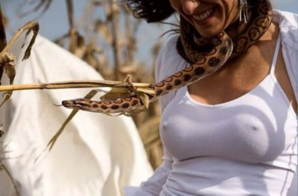 Durum sandığınızdan birazcık farklı! - Resim: 4