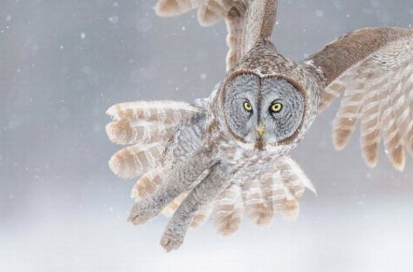 İnsan ruhunu okşayan doğal güzellikler! - Resim: 3