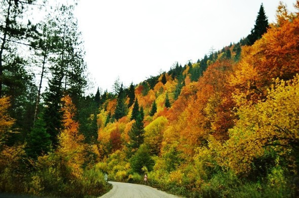Jüriler belirledi...En iyi sonbahar fotoğrafları buradan çıkıyor - Resim: 3