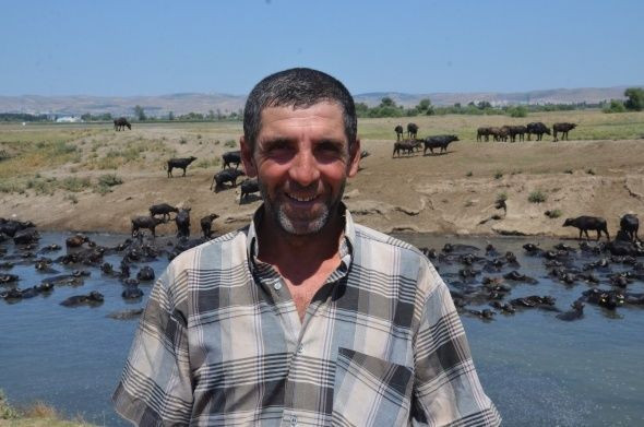 Balıkesir'den belgeselleri aratmayan görüntü - Resim: 2