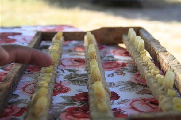 Hobi olarak başlamıştı şimdi 10 gramını 250 TL'ye satıyor - Resim: 4