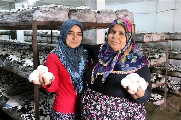 Gelin Kayınvalide bu işe girdiler - Resim: 1