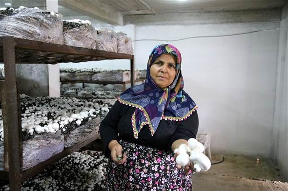 Gelin Kayınvalide bu işe girdiler - Resim: 3