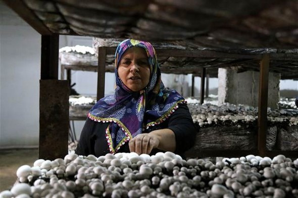 Gelin Kayınvalide bu işe girdiler - Resim: 4