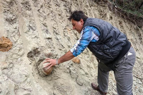 Yüzlercesi birden topraktan fışkırdı! Ne olduğunu anlamadılar ama... - Resim: 4