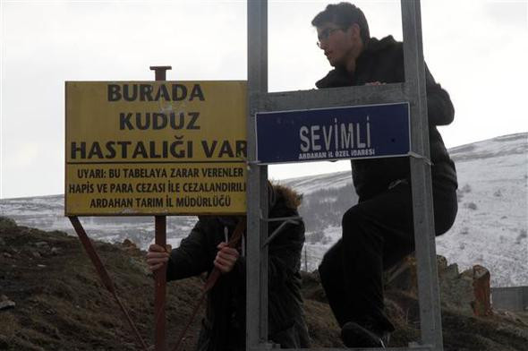 Aç kalınca kedilerle boğuştu ilçe karantinaya alındı - Resim: 4