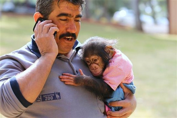 Gaziantep'te olay oldu onu annesi zannediyor - Resim: 1