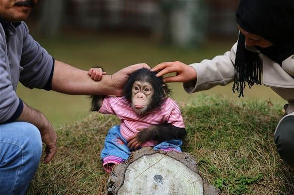 Gaziantep'te olay oldu onu annesi zannediyor - Resim: 2