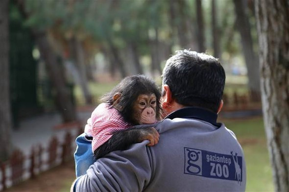 Gaziantep'te olay oldu onu annesi zannediyor - Resim: 4