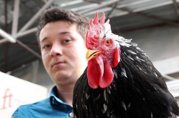 Fiyatı otomobille yarışıyor hobi olarak başlamışlardı ama... - Resim: 1