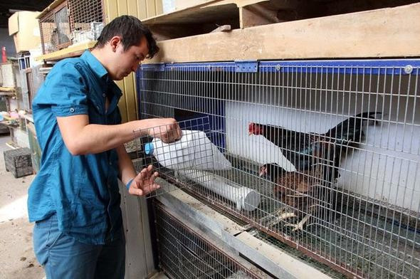 Fiyatı otomobille yarışıyor hobi olarak başlamışlardı ama... - Resim: 2