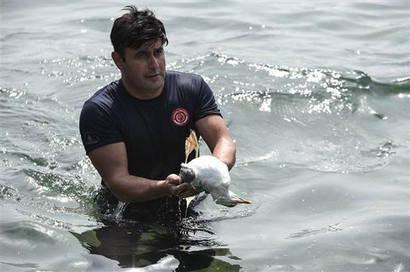 Yaralı martıyı itfaiyeci kurtardı - Resim: 3