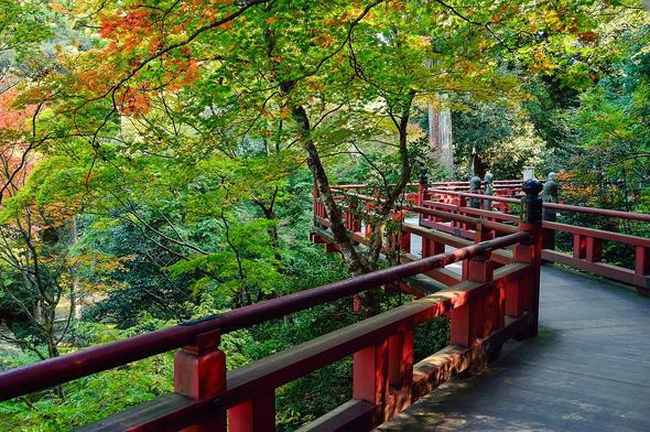 Türkiye dünyanın en güçlü ülkeleri arasında kaçıncı Statistics Times açıkladı - Resim: 4