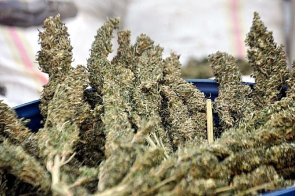 PKK'nın kasasına büyük darbe! - Resim: 2