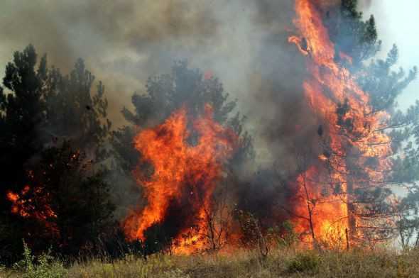 Karabük'te yangın  - Resim: 1