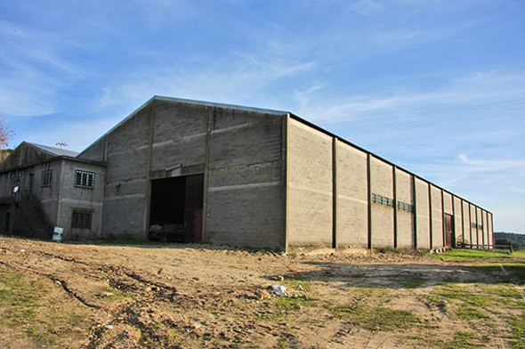 Bu fotoğraflar hayrete düşürüyor... - Resim: 1