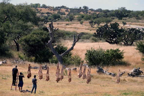 Donald Trump'a karşı çırılçıplak meydana çıkıp... - Resim: 1