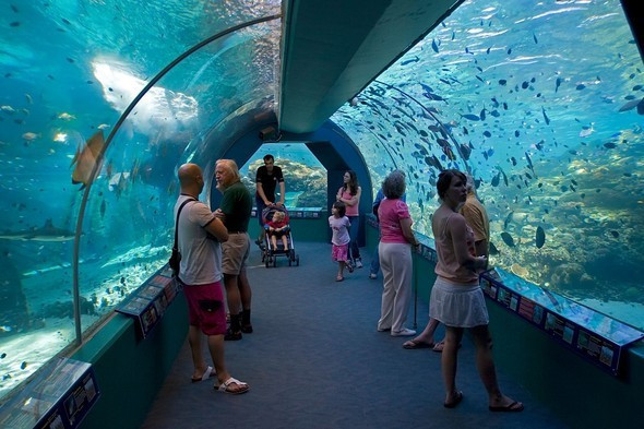 İstanbul'da soğuk havada gezilecek 9 yer - Resim: 4