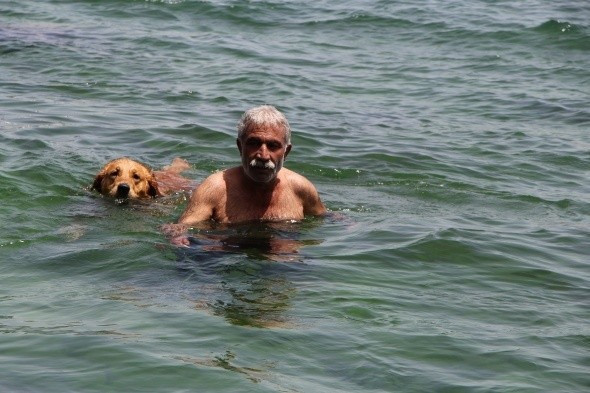 İstanbul yanıyor! Termometreler 38 dereceyi gösterdi! - Resim: 4