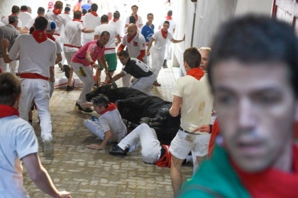 Boğanın boynuzundan inanılmaz kurtuluş - Resim: 1