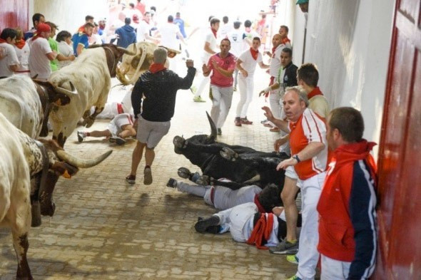 Boğanın boynuzundan inanılmaz kurtuluş - Resim: 2