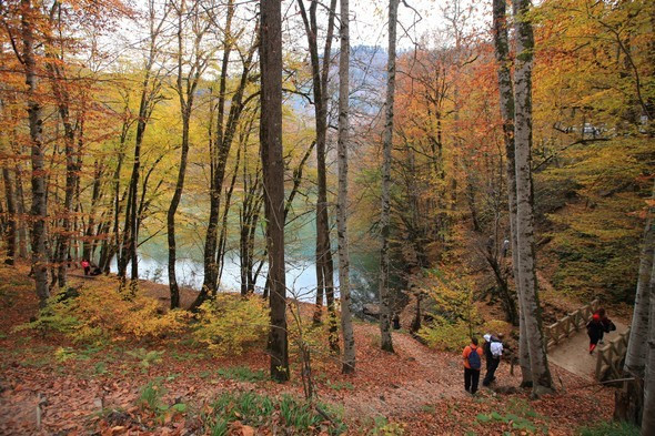 Jüriler belirledi...En iyi sonbahar fotoğrafları buradan çıkıyor - Resim: 2