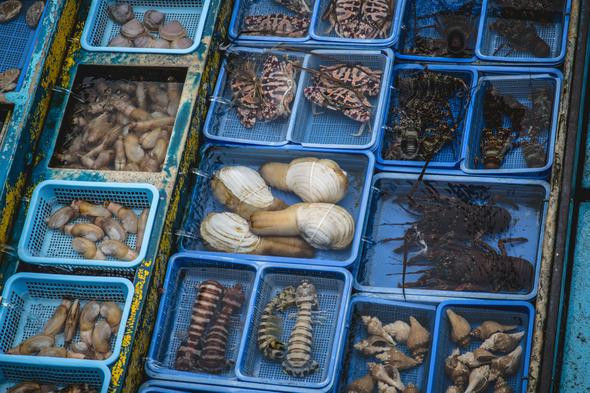 Görüntüsü korkunç olabilir ama porsiyonu 100 euro - Resim: 2