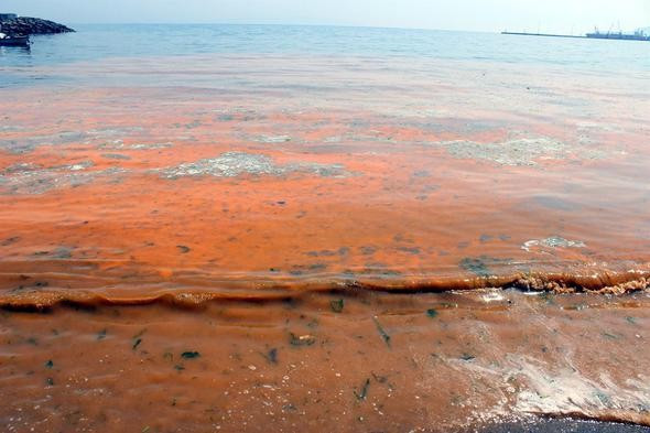 Marmara Denizi turuncuya boyandı - Resim: 3