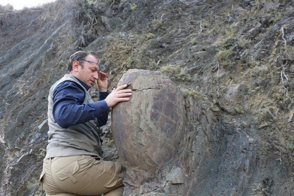 Erzurum'da 70 yıllık kaya Kaya Salyangozu görenleri hayrete düşürdü - Resim: 2