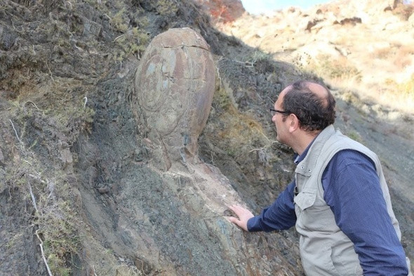 Erzurum'da 70 yıllık kaya Kaya Salyangozu görenleri hayrete düşürdü - Resim: 3