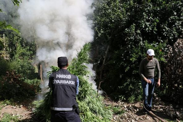 Polisi şaşkına çeviren görüntü! İnsan boyunu aşmış - Resim: 1