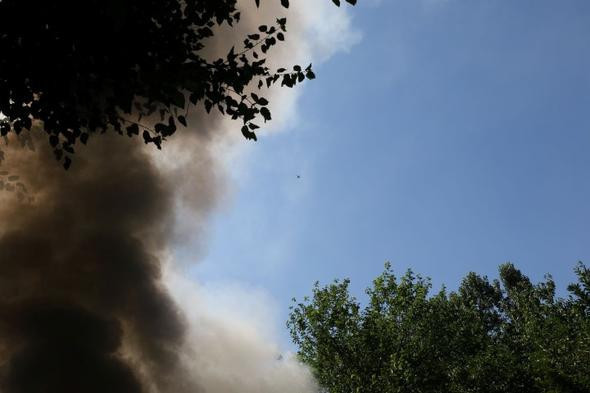 Polisi şaşkına çeviren görüntü! İnsan boyunu aşmış - Resim: 2