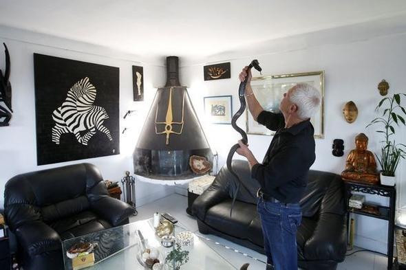 Ev ev değil vahşi doğa parkı! Evinde beslediği hayvanları görünce şok olacaksınız - Resim: 4