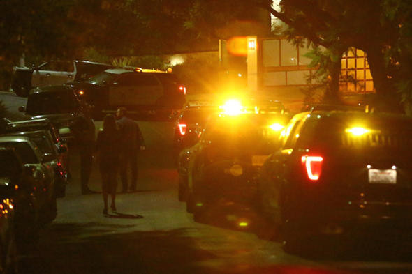 Polisler, Rihanna'nın milyon dolarlık evine helikopterle indi - Resim: 2